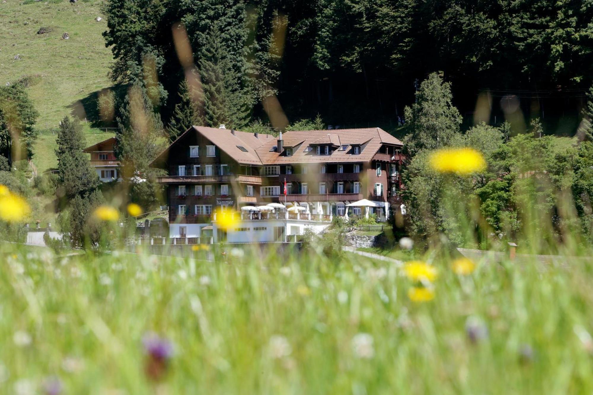 Hotel Restaurant Hammer Eigenthal Luaran gambar